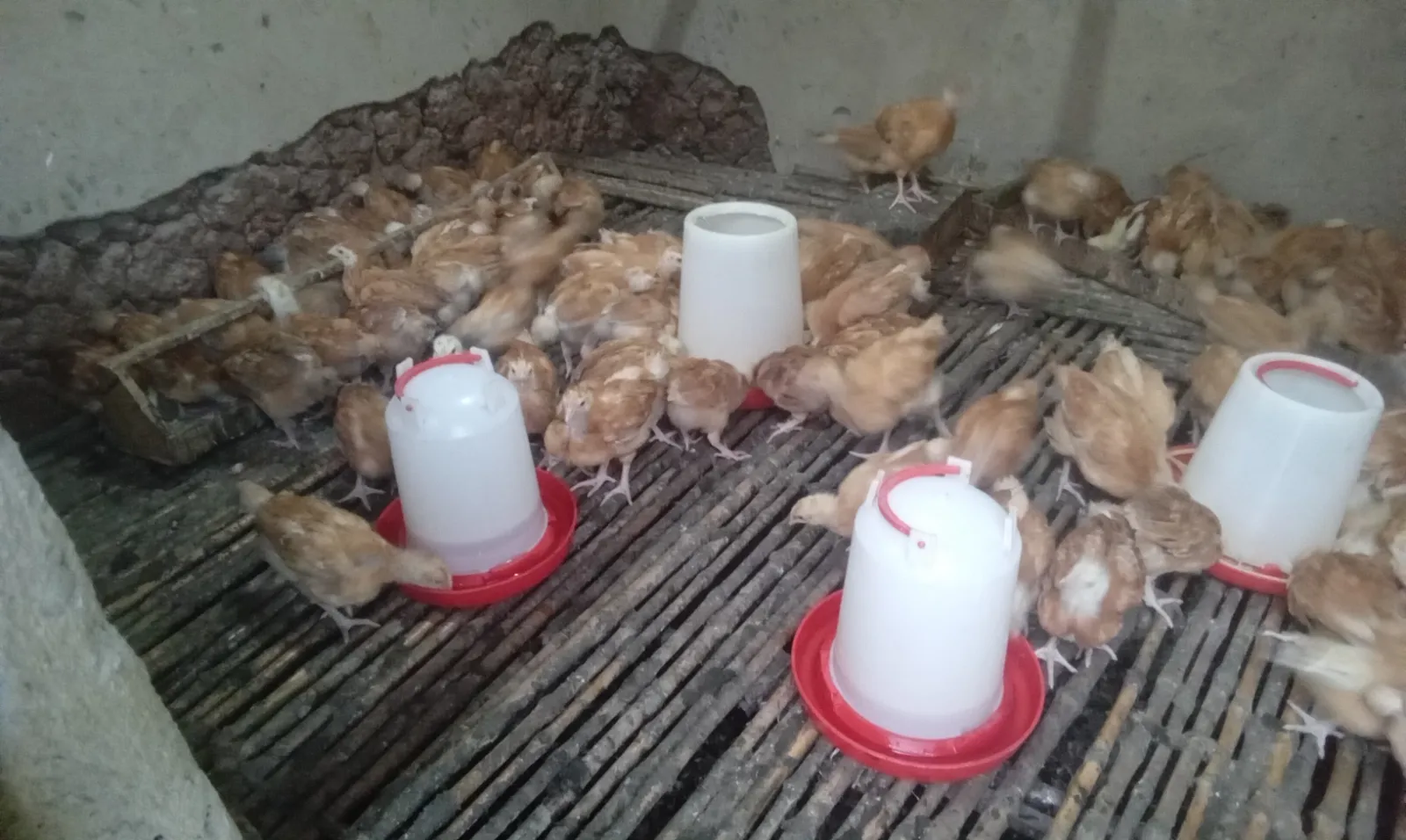 SASSO for sale in Eastern Province